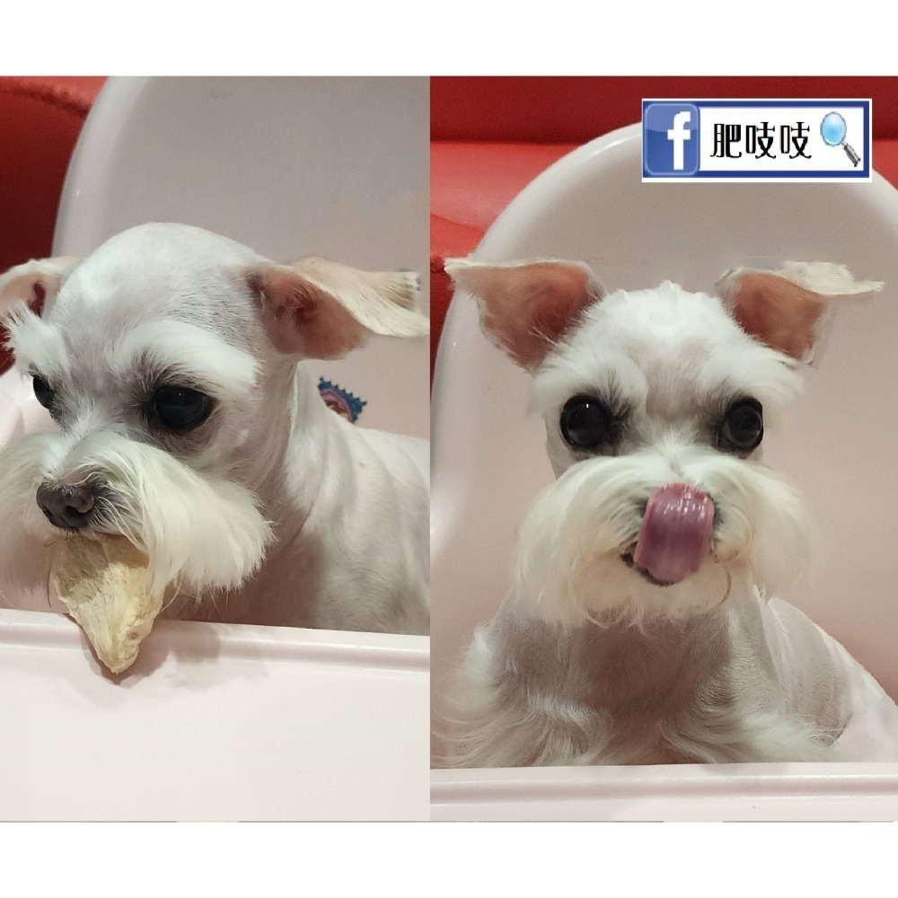 ★本批3/12製★🍬🍭肥吱吱-犬貓雞肉凍乾😻🐶國產合格電宰雞肉🐔🐔-細節圖9