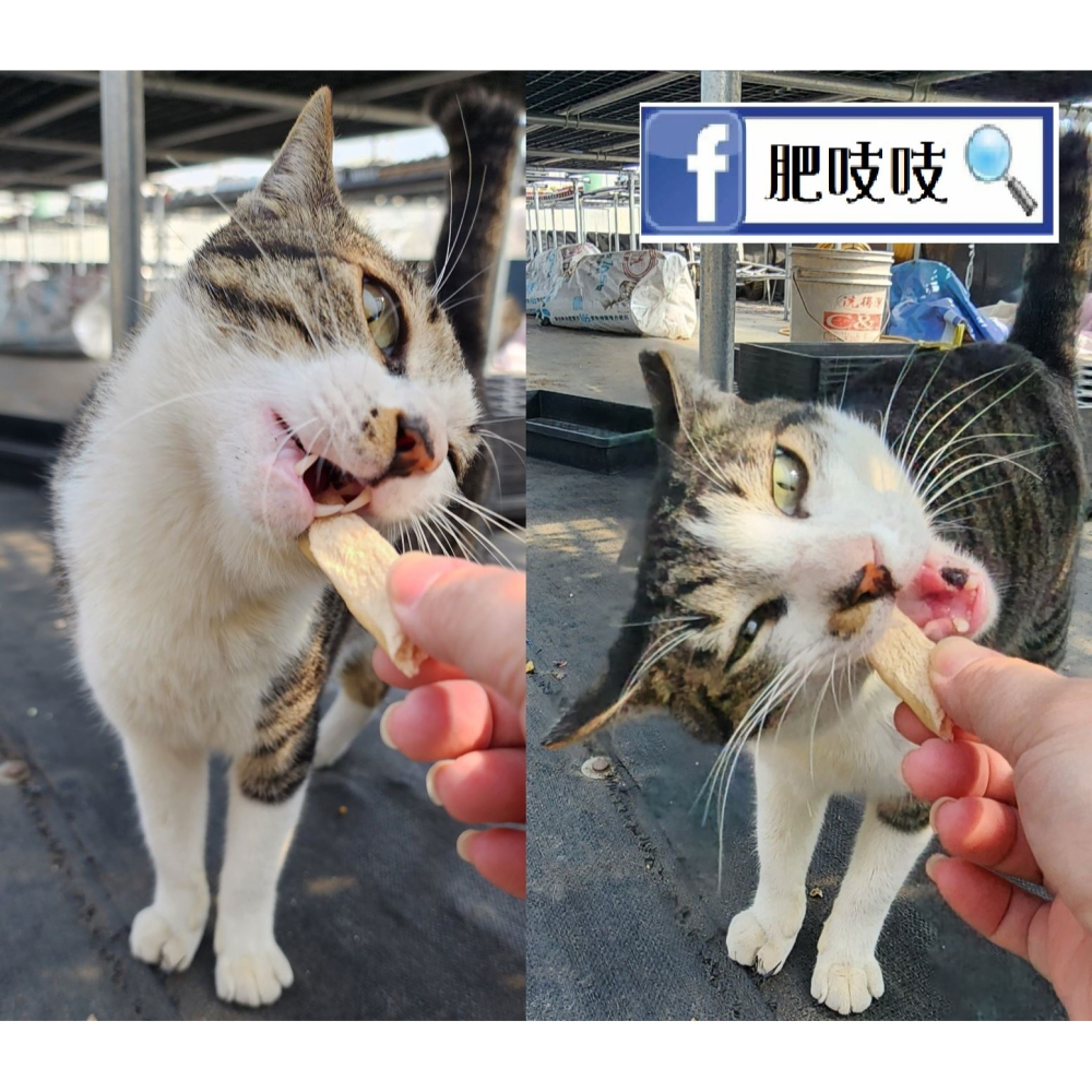★本批11/23製★ 雞胸肉凍乾800g(淨重)家庭號😹😻肥吱吱-犬貓凍乾😹😻國產合格電宰雞肉🐔 🐓-細節圖10