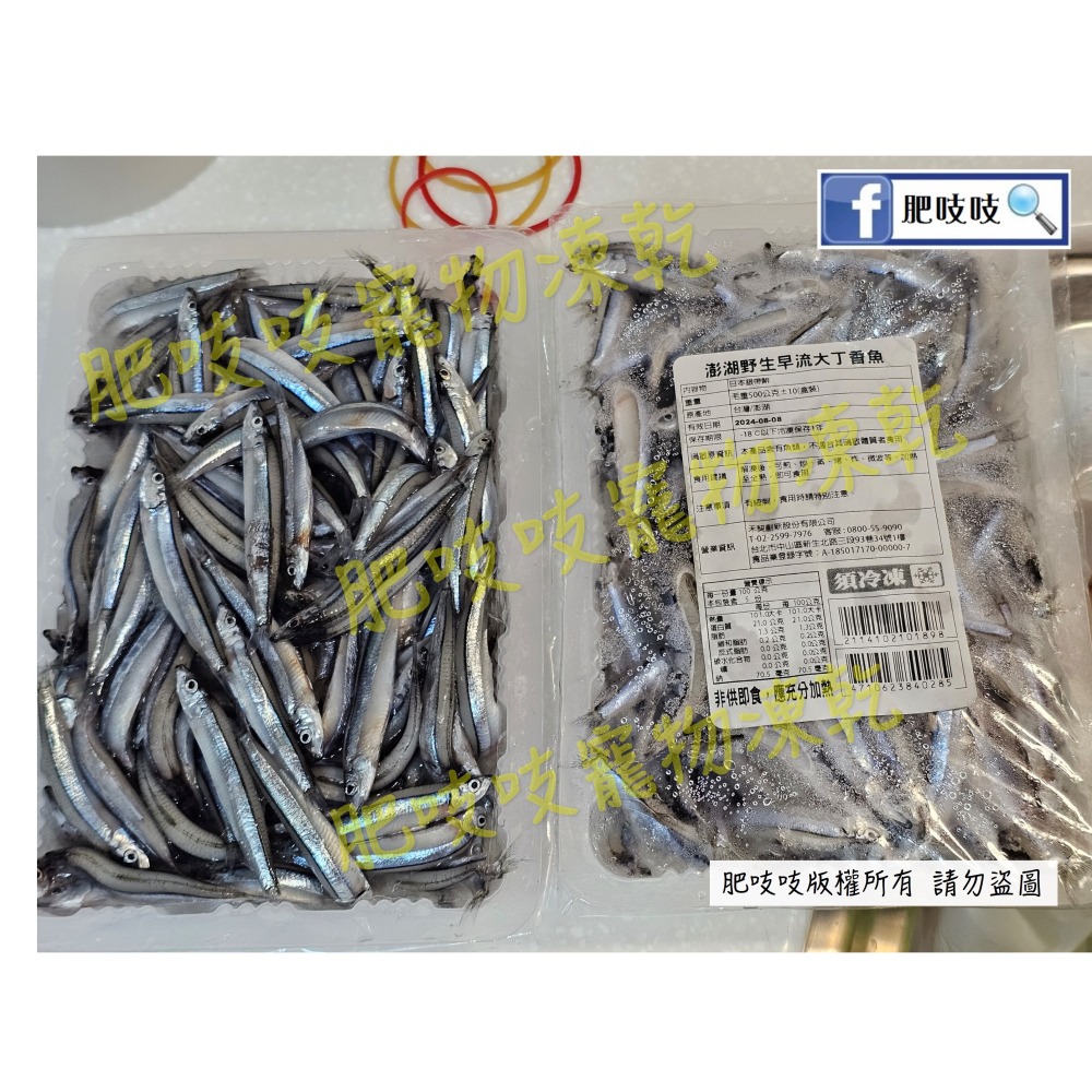 澎湖現流丁香魚凍乾，本批10/31製作😹🐶肥吱吱-犬貓凍乾 🐠🐠澎湖丁香魚 🐟️🐟️-細節圖4
