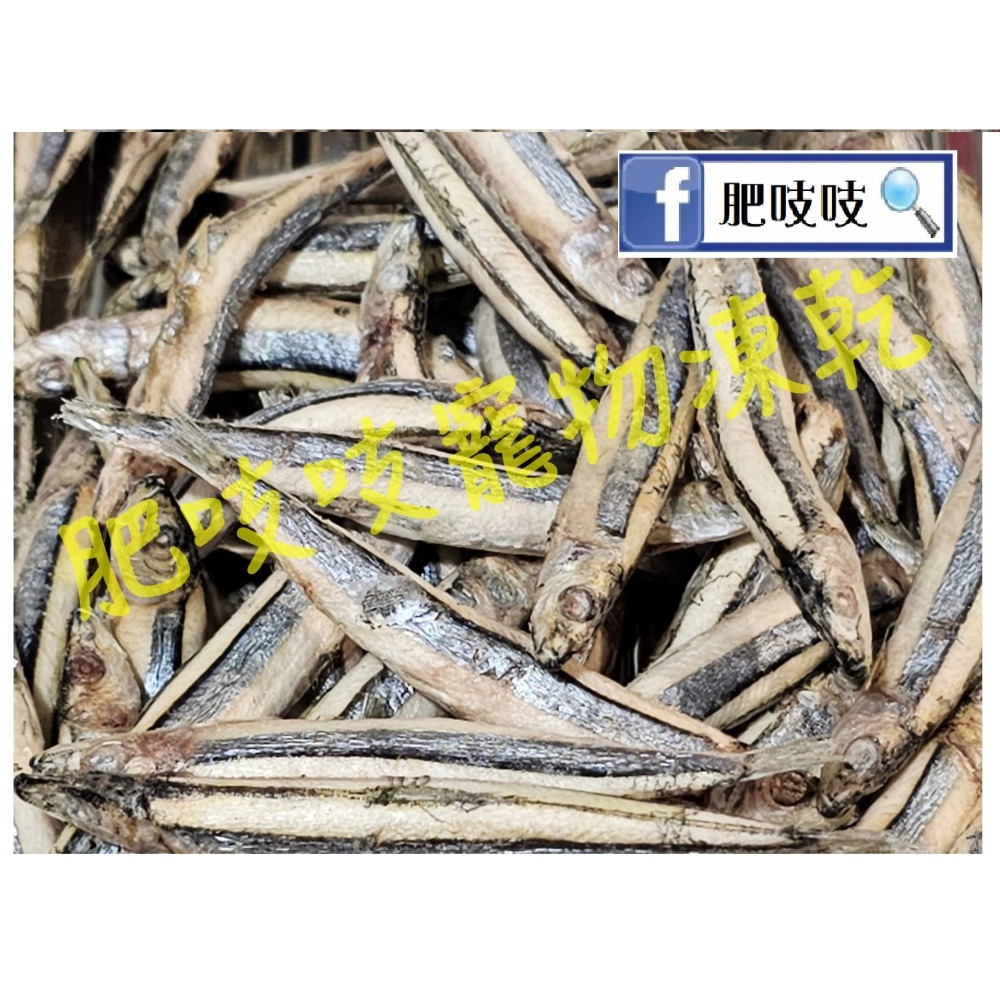 澎湖現流丁香魚凍乾，本批10/31製作😹🐶🐟️🐟️肥吱吱-犬貓澎湖丁香魚凍乾100g(淨重)大包裝 🐠🐠-細節圖2