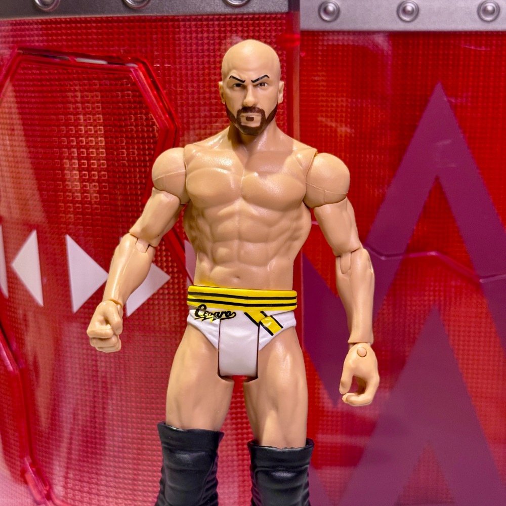 現貨 Mattel 2014 WWE 摔角人偶 Antonio Cesaro Battle Pack 39-細節圖2