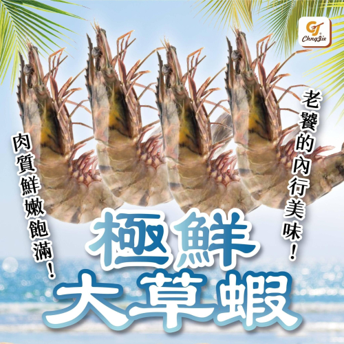 12P生凍草蝦
