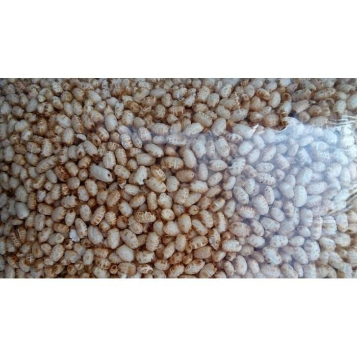 胚芽米 米香粒 爆胚芽米 無糖 無油 無鹽 無添加物 純胚芽米粒 胚芽糙米粒-細節圖3