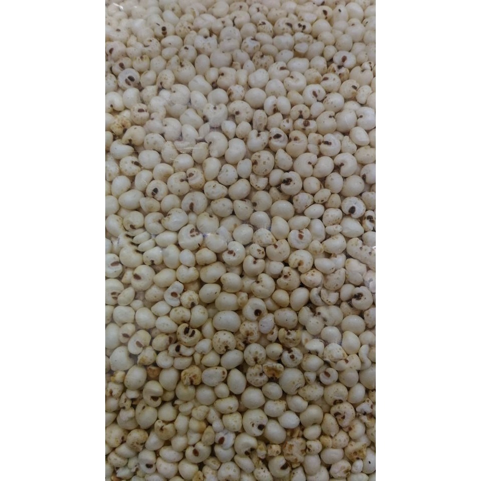 白米粒 胚芽糙米粒 小麥粒 紅薏仁粒 小米粒 蕎麥粒 長糙米粒 爆米粒 無糖 無油 無鹽 無添加物 純米粒 (8號袋)-細節圖9