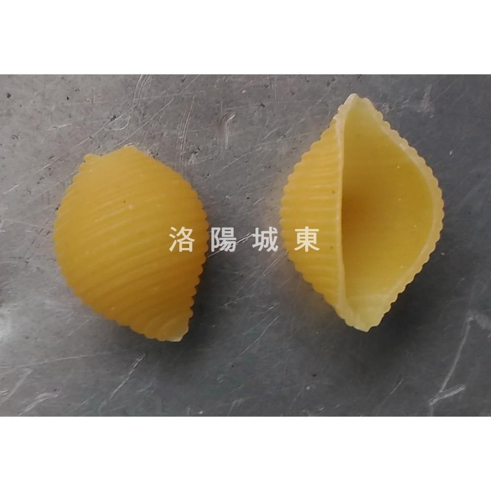 貝殼麵 爆大貝殼麵 爆貝殼 大貝殼 爆麵 米香 寶寶副食品 零食 手指食物 義大利麵  杜蘭小麥粉 原裝進口-細節圖2