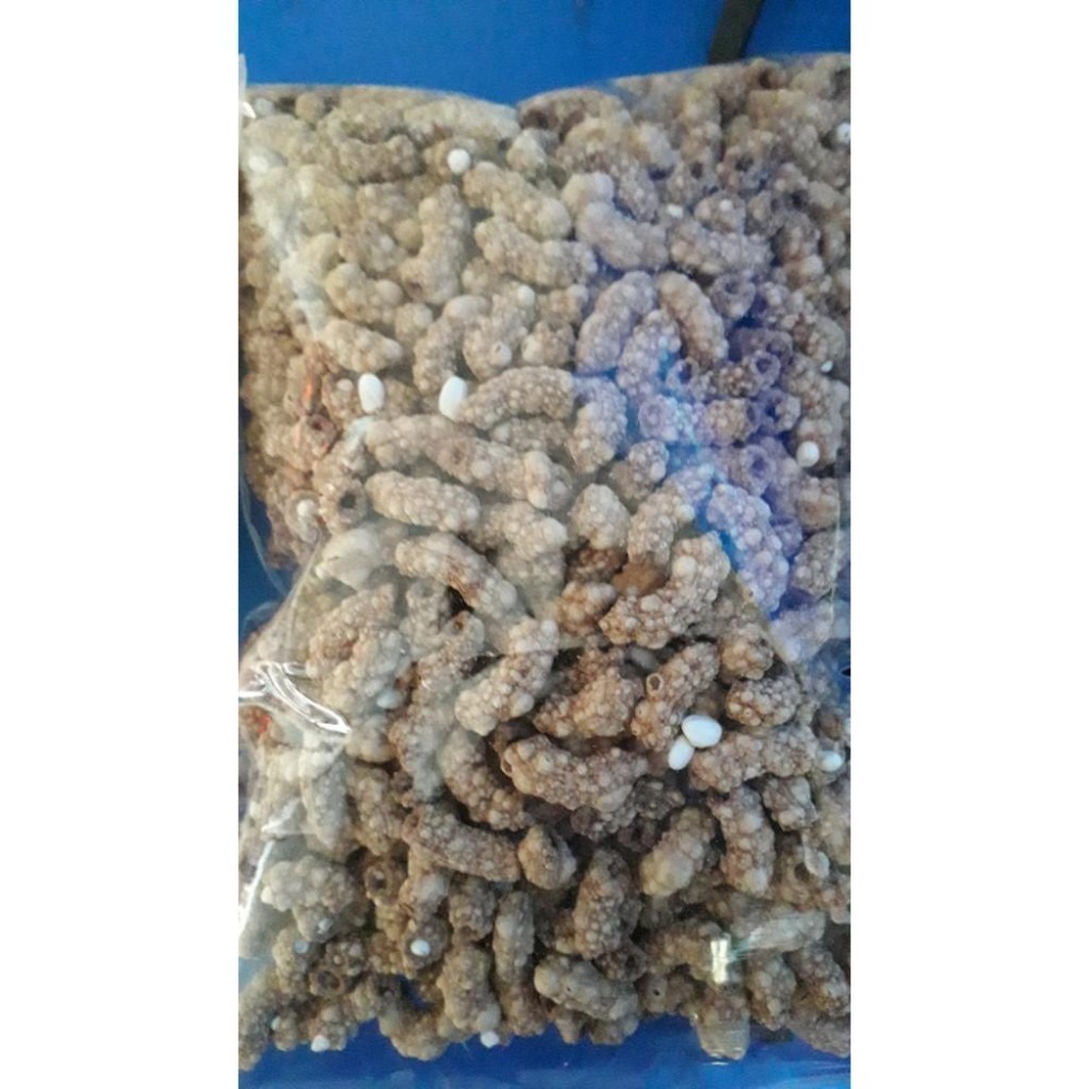 大貝殼麵 小貝殼麵 彎管麵 螺旋麵 爆貝殼麵 爆麵 米香 寶寶副食品 零食 手指食物 義大利麵  杜蘭小麥粉-細節圖5