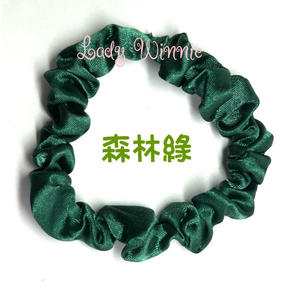 美國 L. ERICKSON 真絲純色 大腸圈 迷你款-細節圖2