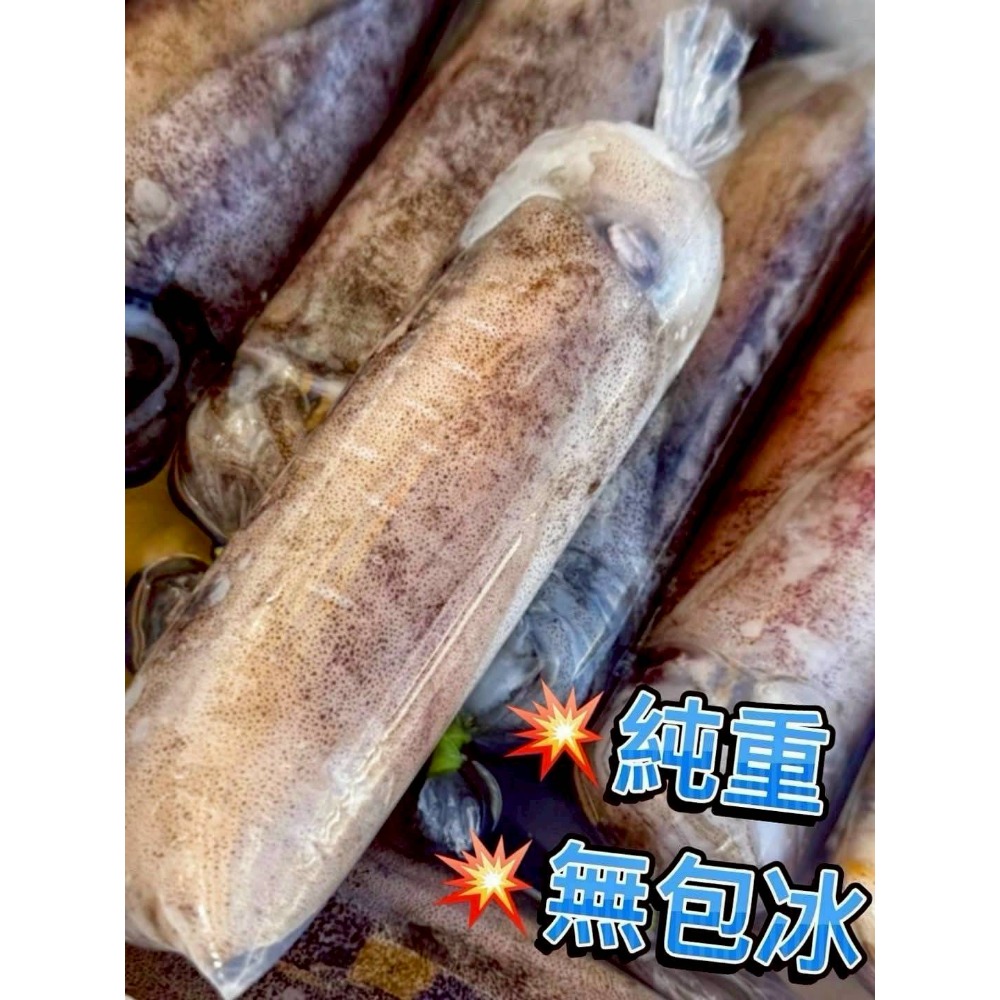 船凍軟絲-細節圖3