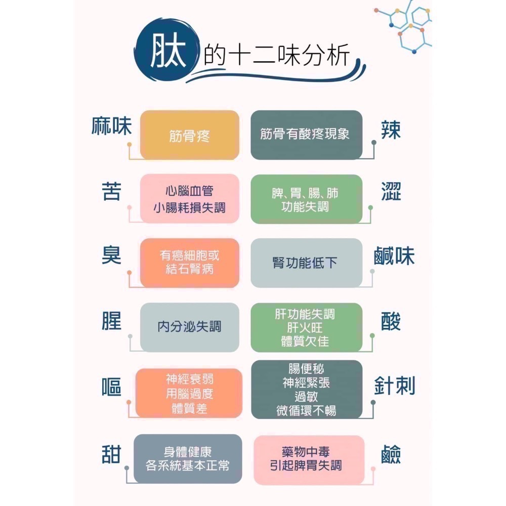鑠樂_小分子寡肽一盒10包-細節圖3