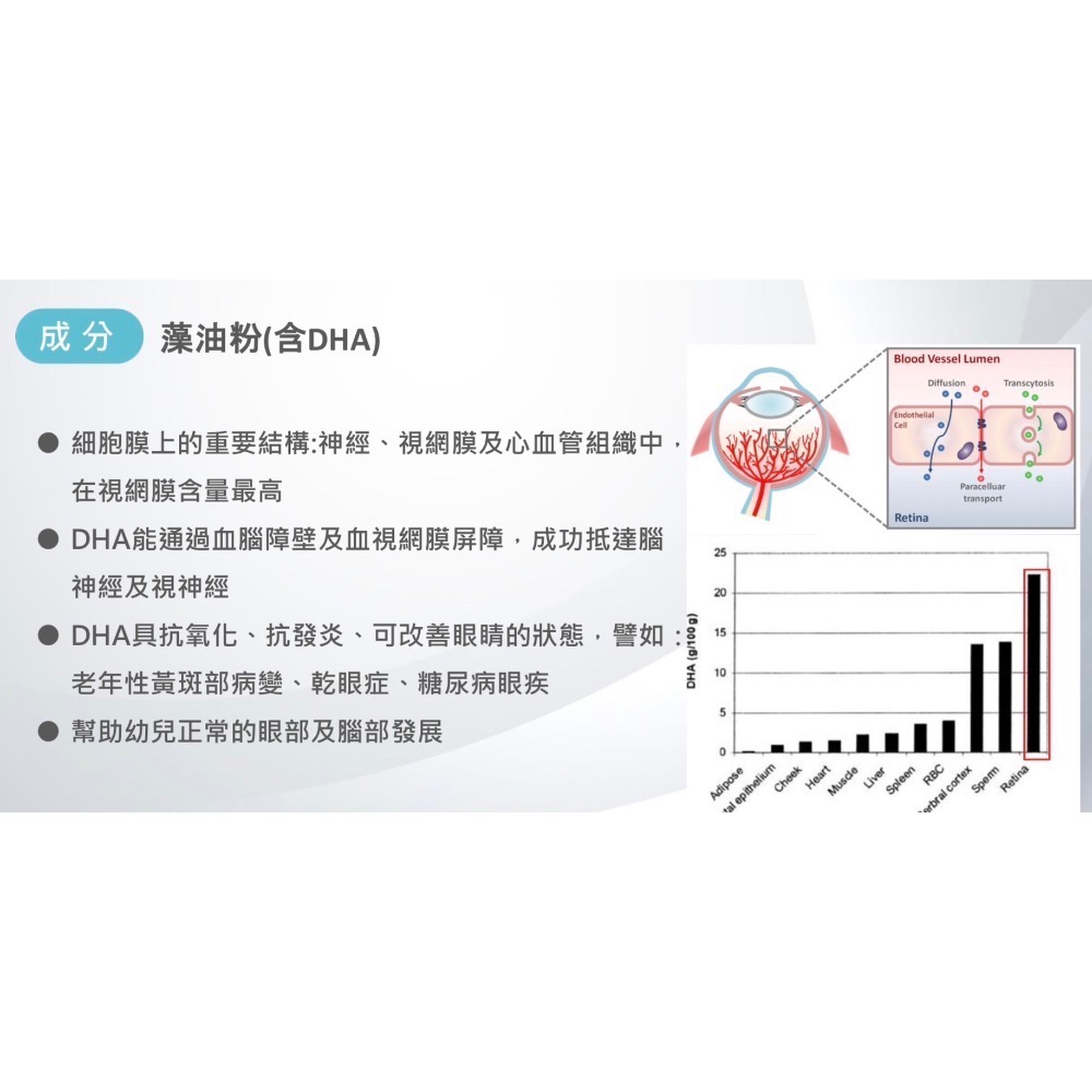 陽明生醫-晶亮凍PLUS(升級版)一盒14條-細節圖9