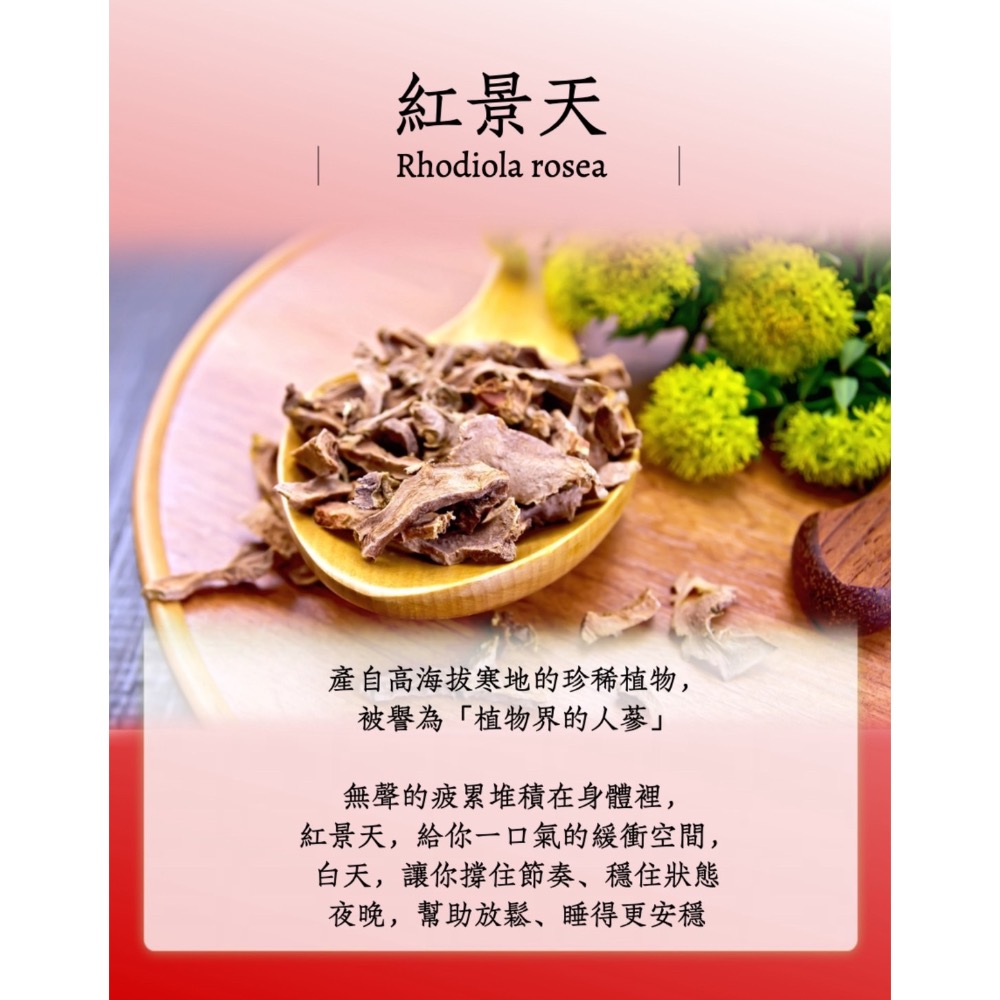 鑠樂_ 氧心殿-量子紅景天複方膠囊-細節圖2