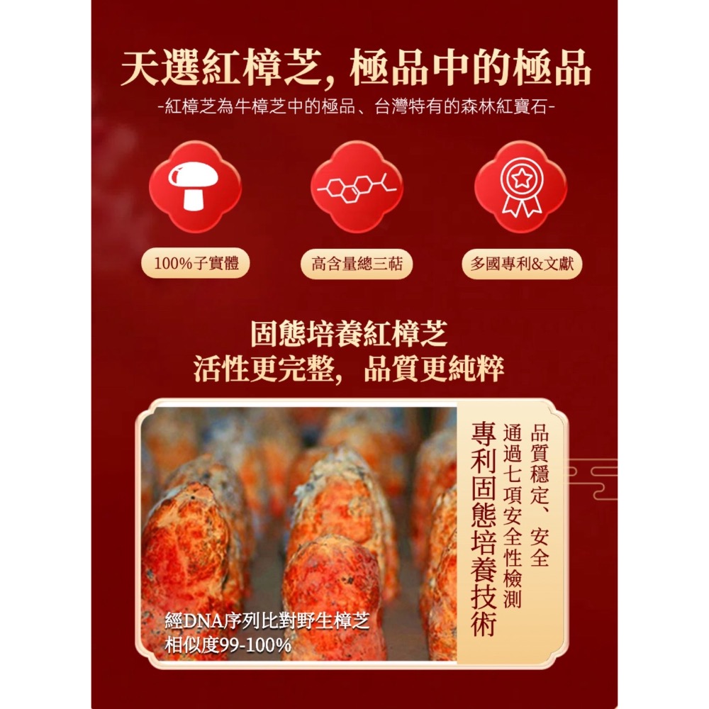 鑠樂_ 量子超能雙黃王-細節圖2