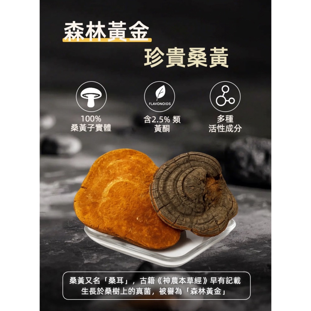 鑠樂_ 量子超能桑黃-細節圖2