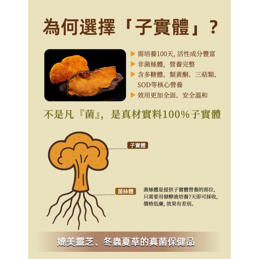 鑠樂_ 量子超能桑黃-細節圖3