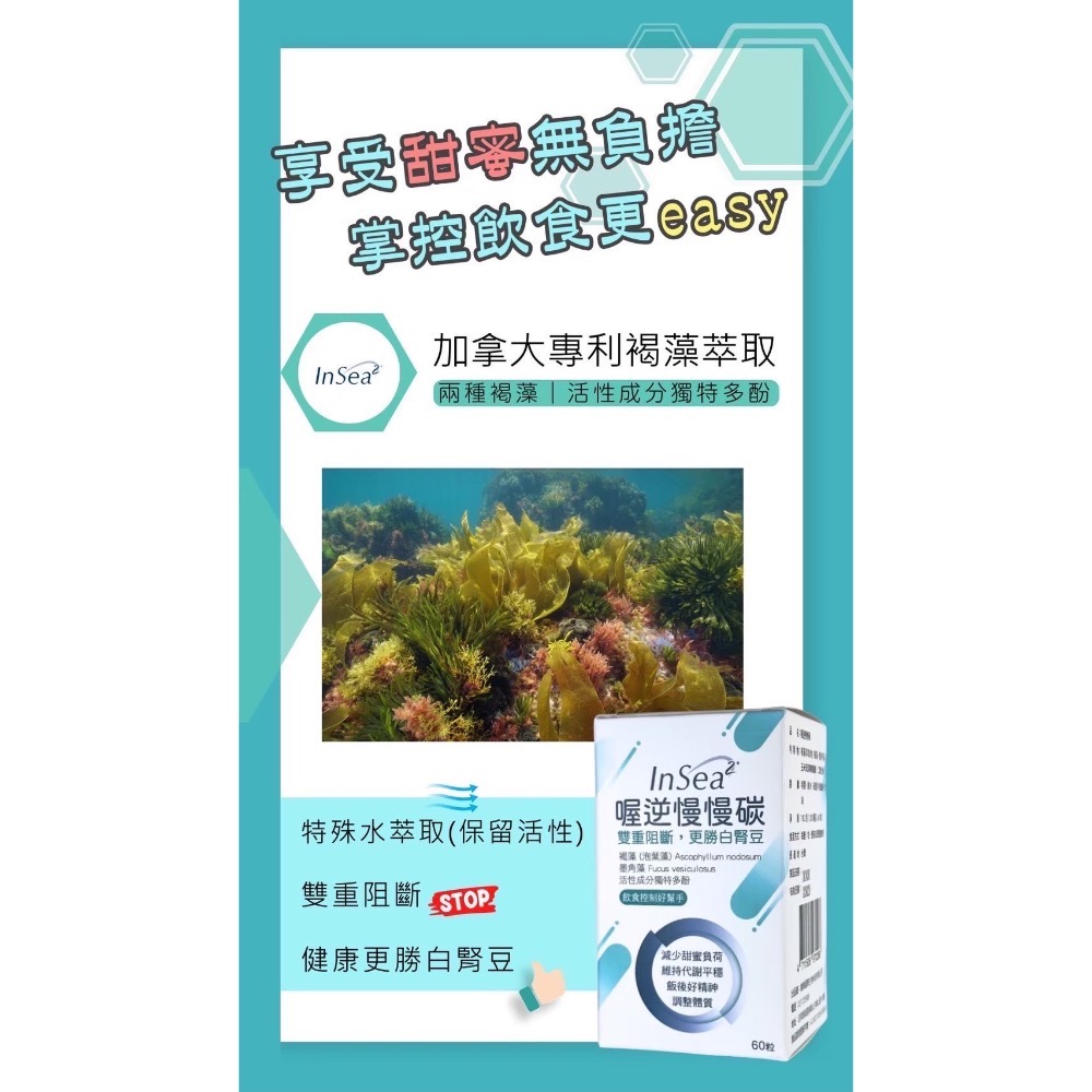 鑠樂-小纖女-小資組-細節圖5