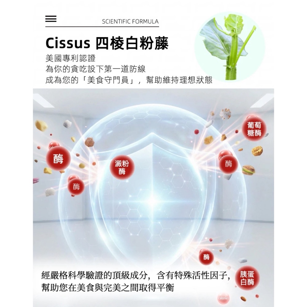 鑠樂_ 喔逆飽寶-高效乳清蛋白飲-可可歐蕾(口味)-細節圖4