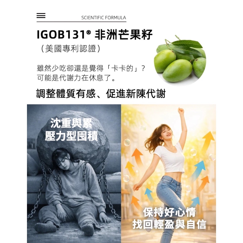 鑠樂_ 喔逆飽寶-高效乳清蛋白飲-可可歐蕾(口味)-細節圖5