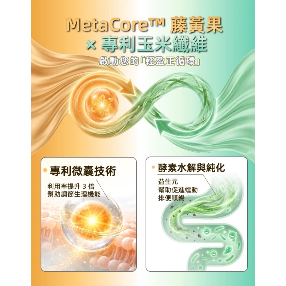 鑠樂_ 喔逆飽寶-高效乳清蛋白飲-可可歐蕾(口味)-細節圖8