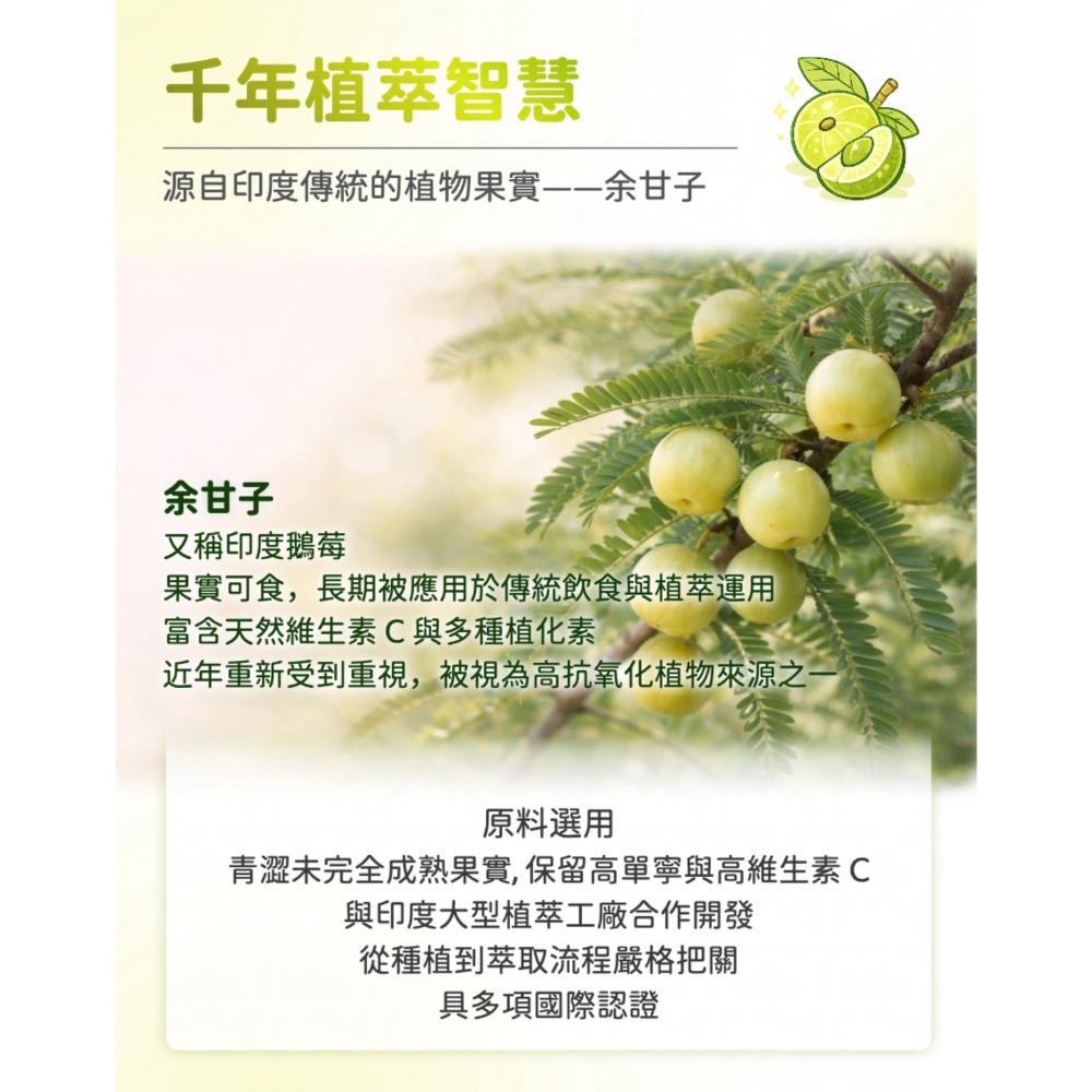 鑠樂_余甘子C膜衣錠60顆-細節圖4