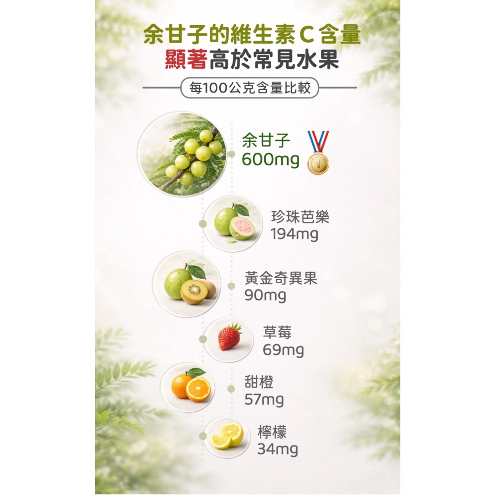 鑠樂_余甘子C膜衣錠60顆-細節圖5