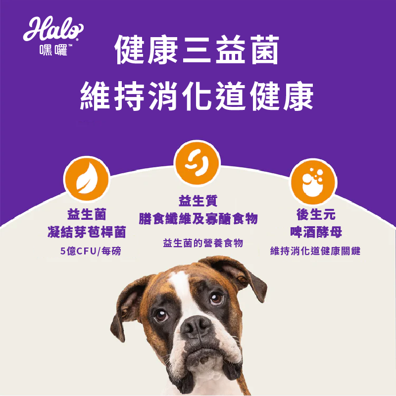 HALO 嘿囉 狗飼料 無穀狗飼料 幼犬 成犬 熟齡犬 低敏舒膚犬-細節圖3