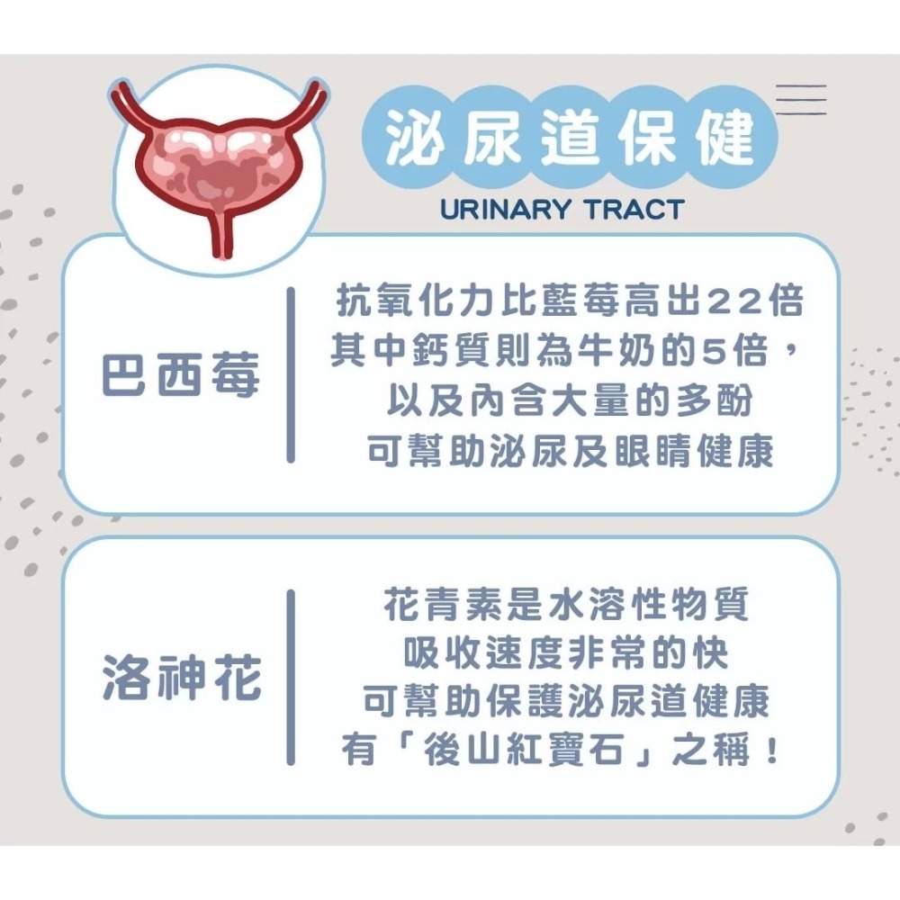 想比比 機能罐 貓罐頭 貓主食罐 貓糧 貓罐 現貨 主食罐  貓-細節圖5