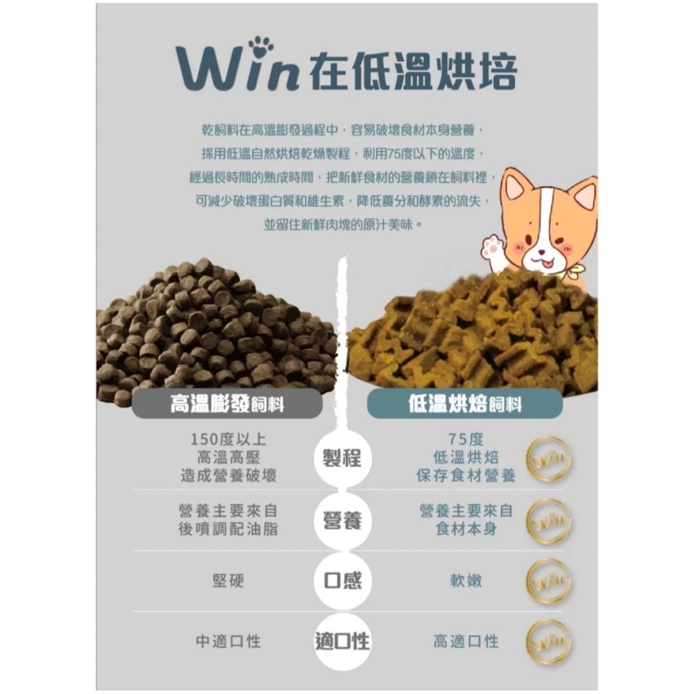 A Freschi 艾富鮮 Win無穀鮮肉糧1KG 雞肉 鮭魚 火雞肉 護心肝 皮毛保健 關節win飼料-細節圖5