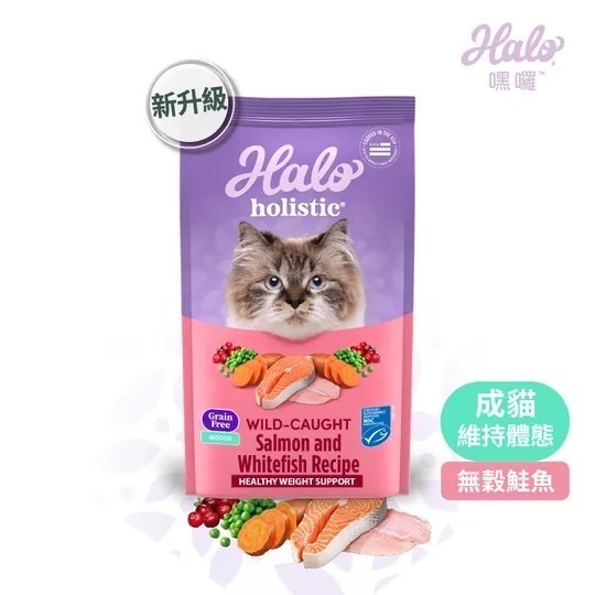 Halo 嘿囉 成貓 幼貓 熟齡貓3磅 6磅 10磅 無穀 貓飼料 幼貓 成貓 貓糧 鮭魚 雞肉 貓-細節圖10