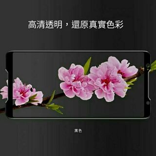 華碩滿版玻璃貼 玻璃保護貼 適用Zenfone 5 5Z 6 7 Pro ZS630KL ZS620KL ZE620KL-細節圖2