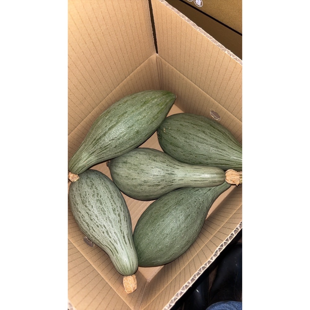 貴族南瓜-細節圖5