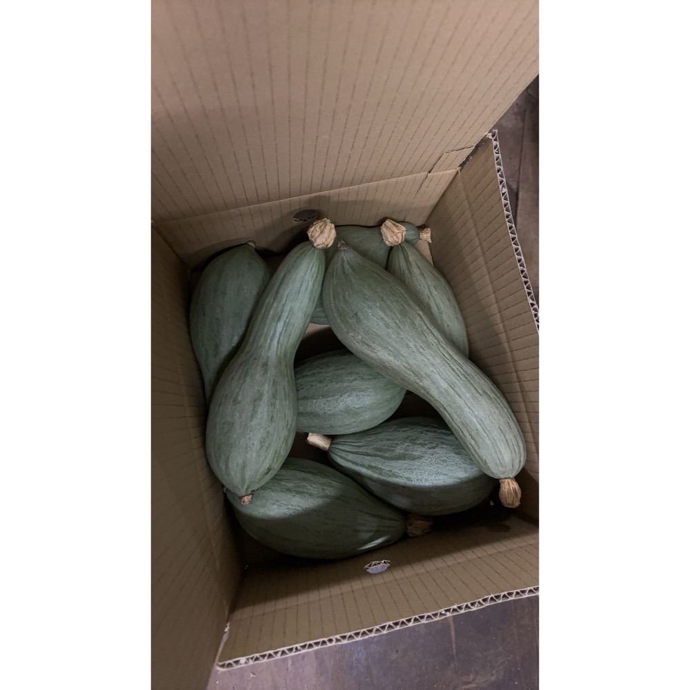 貴族南瓜-細節圖6