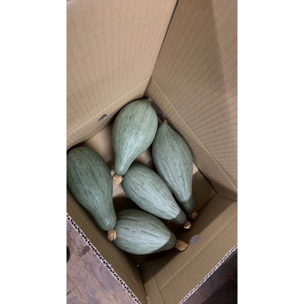 貴族南瓜-細節圖7