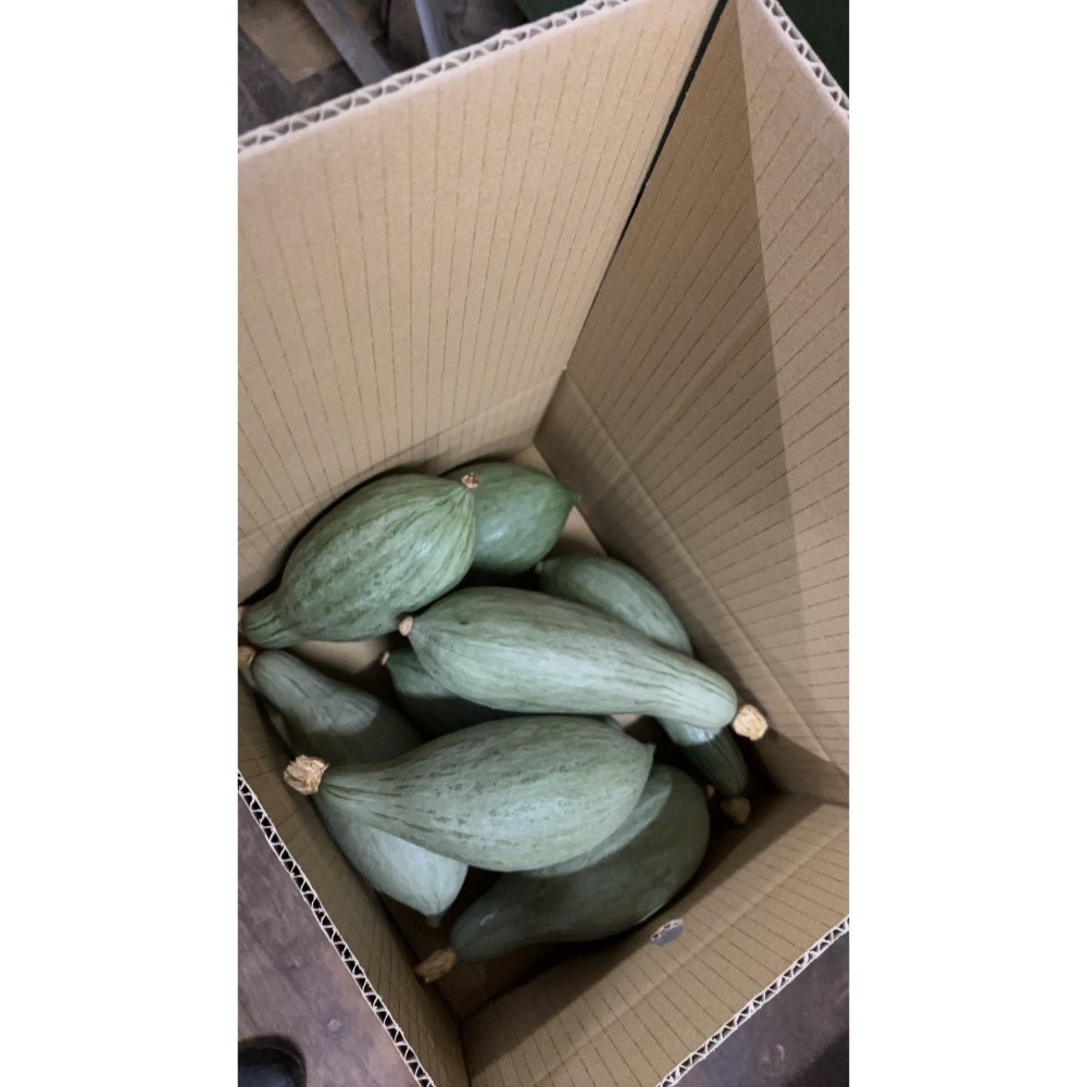 貴族南瓜-細節圖8