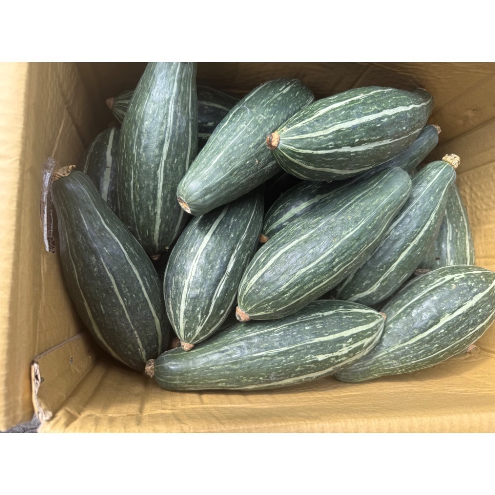 新疆綠貴族南瓜 貴族南瓜 比貝貝南瓜 阿成南瓜 奶油南瓜 牛奶南瓜 栗子南瓜 南瓜 好吃-細節圖6