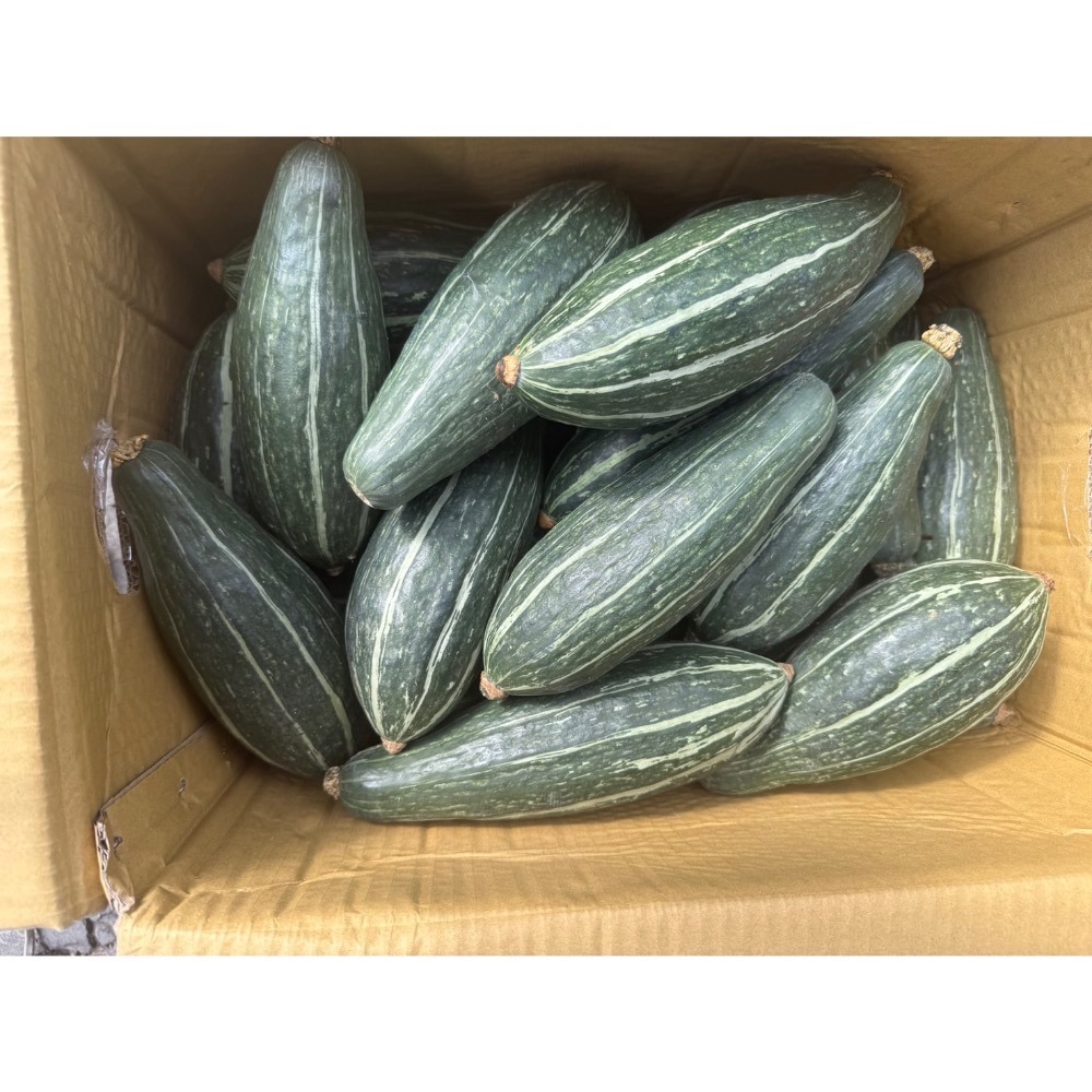 新疆綠貴族南瓜 貴族南瓜 比貝貝南瓜 阿成南瓜 奶油南瓜 牛奶南瓜 栗子南瓜 南瓜 好吃-規格圖7