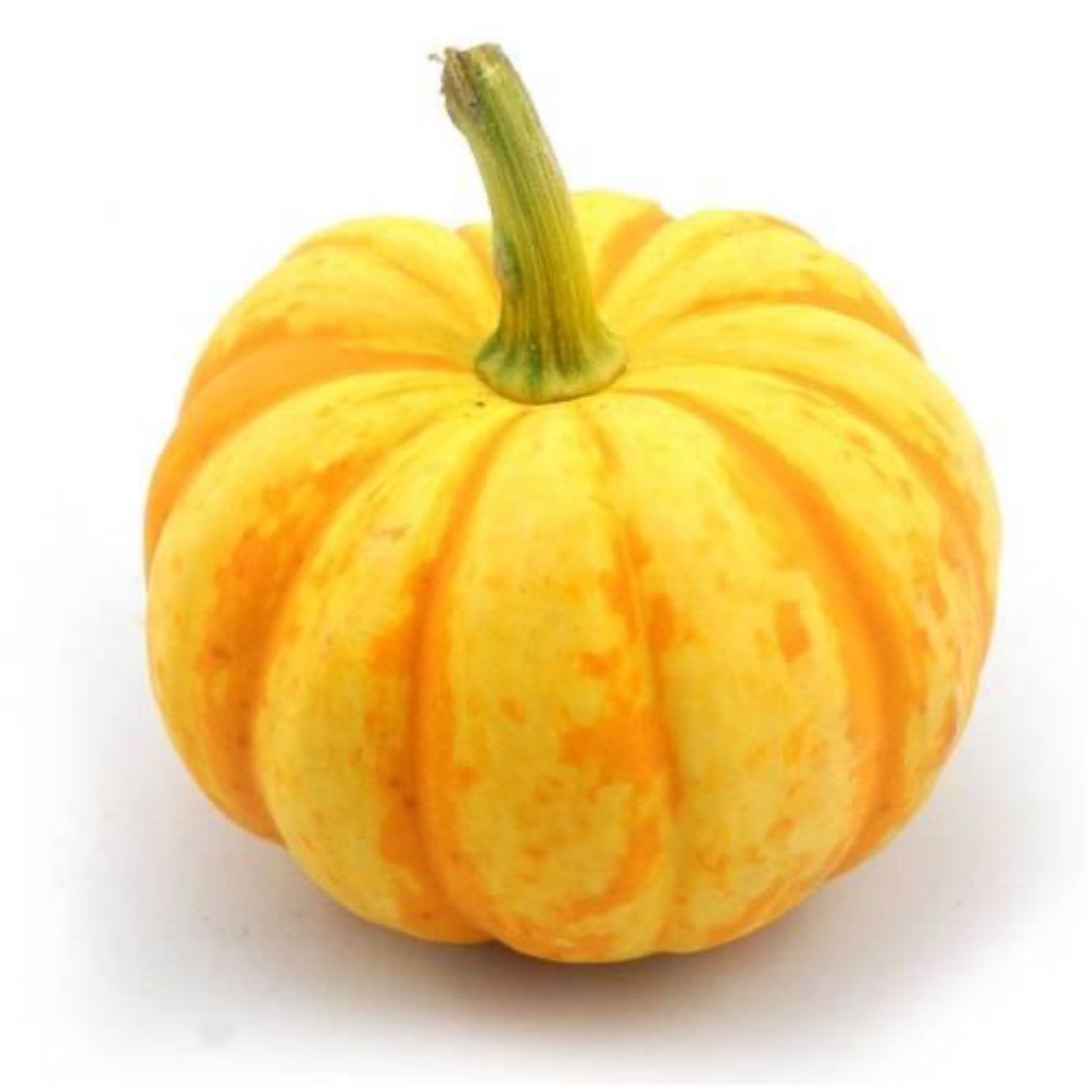 黃金南瓜 金貝貝 比貝貝南瓜 阿成南瓜 奶油南瓜 牛奶南瓜 栗子南瓜 南瓜好吃-細節圖2