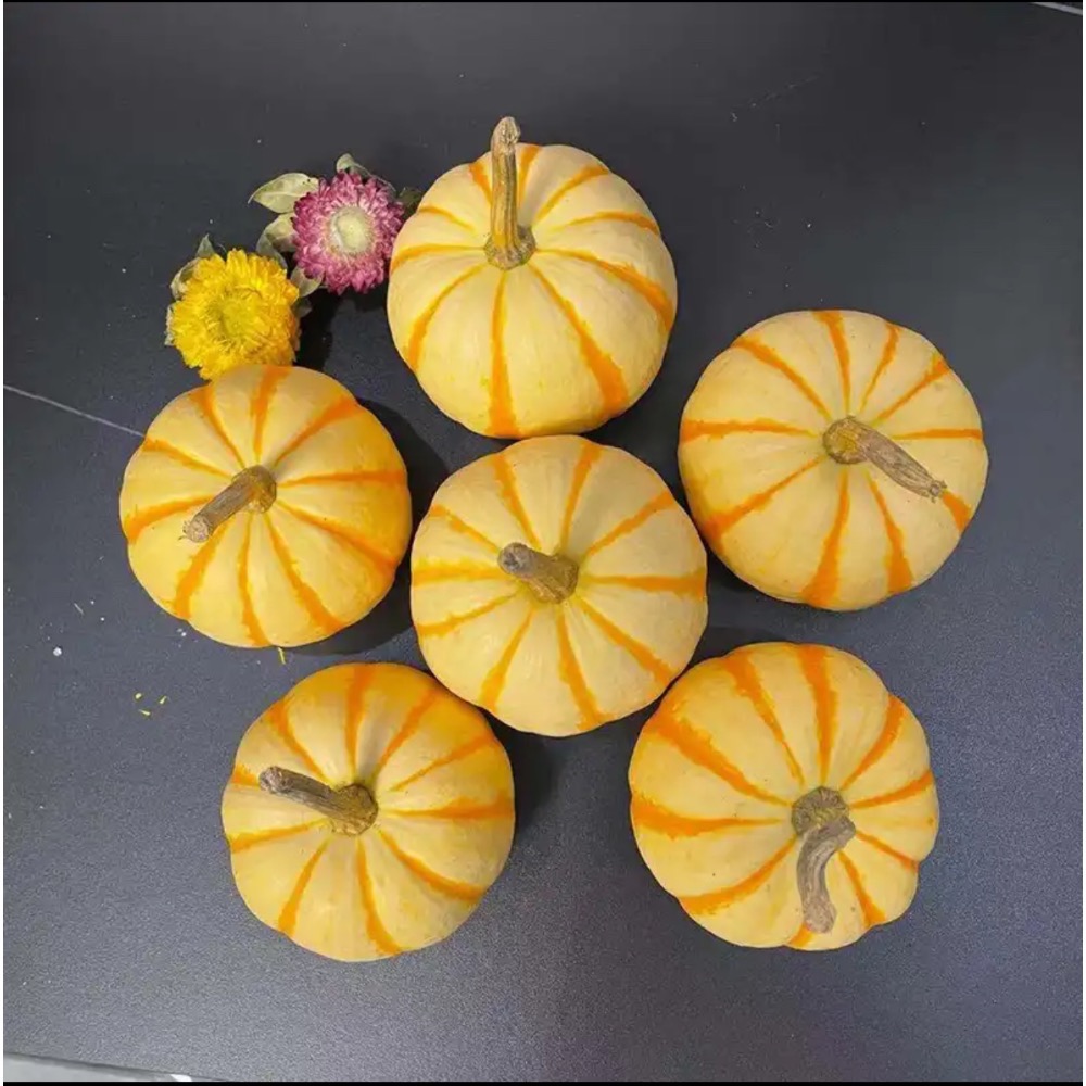 黃金南瓜 金貝貝 比貝貝南瓜 阿成南瓜 奶油南瓜 牛奶南瓜 栗子南瓜 南瓜好吃-細節圖6