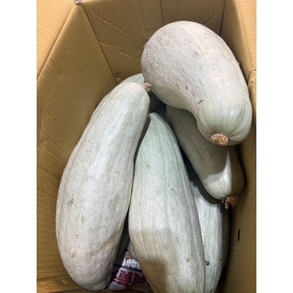 新疆貴族南瓜 金絲栗 貴族南瓜 比貝貝南瓜 阿成南瓜 南瓜 栗子南瓜 奶油南瓜 牛奶南瓜 好吃-細節圖2