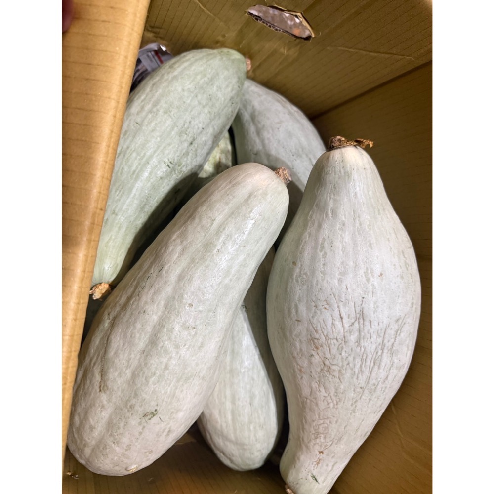 新疆貴族南瓜 金絲栗 貴族南瓜 比貝貝南瓜 阿成南瓜 南瓜 栗子南瓜 奶油南瓜 牛奶南瓜 好吃-規格圖8