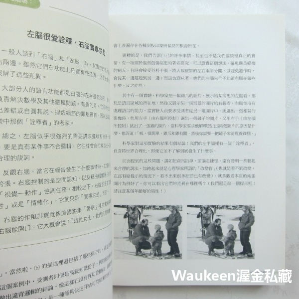 大腦開竅手冊 Welcome to Your Brain 王聲宏 珊卓阿瑪特 天下文化 軸突 突觸 下視丘 腦幹 腦神經-細節圖8