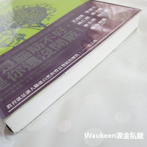 大腦開竅手冊 Welcome to Your Brain 王聲宏 珊卓阿瑪特 天下文化 軸突 突觸 下視丘 腦幹 腦神經-細節圖11