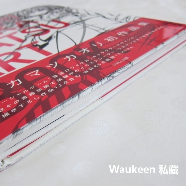 Kaori Wakamatsu Art Book ワカマツカオリ作品集 若松薰 ワカマツカオリ-細節圖11