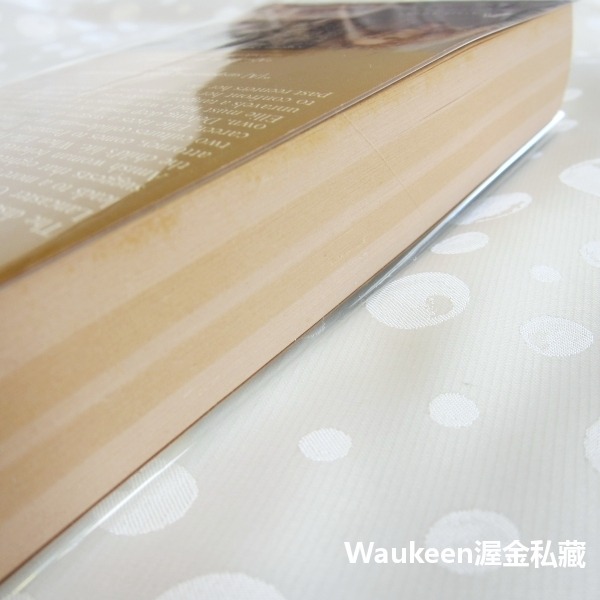 完全真相 Plain Truth 茱迪皮考特 Jodi Picoult 第十層地獄作者 阿米緒 美國賓夕法尼亞州 當代小-細節圖10