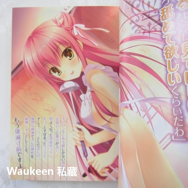 執事志津二與魔法契約【全】 執事なシツジと魔法契約 三門鐵狼 三門鉄狼 鷹乃ゆき メディアファクトリー 奇幻戀愛輕小說-細節圖5