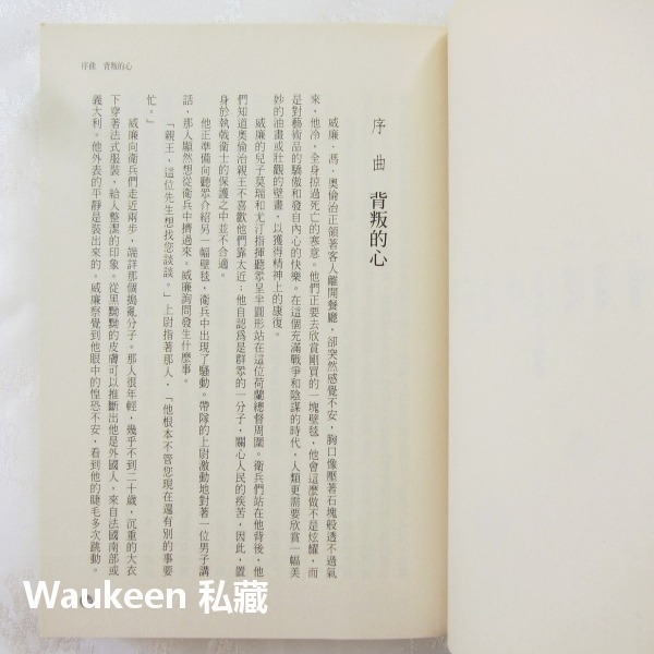 藍 Die Farbe Blau 約格凱斯納 Jorg Kastner 天培出版社 荷蘭西班牙 林布蘭 歷史小說-細節圖6