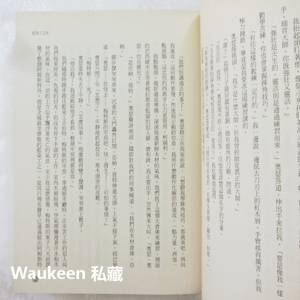 藍 Die Farbe Blau 約格凱斯納 Jorg Kastner 天培出版社 荷蘭西班牙 林布蘭 歷史小說-細節圖8