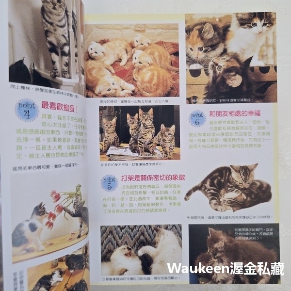 家有寶貝貓 愛貓的飼養調教指南 小島正記 漢欣出版社 美國短毛 波斯 緬因 曼赤肯 阿比西尼亞 埃及 園藝寵物-細節圖4
