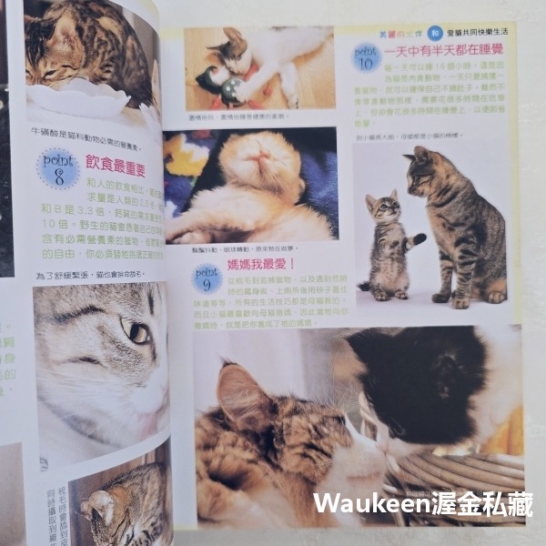 家有寶貝貓 愛貓的飼養調教指南 小島正記 漢欣出版社 美國短毛 波斯 緬因 曼赤肯 阿比西尼亞 埃及 園藝寵物-細節圖5
