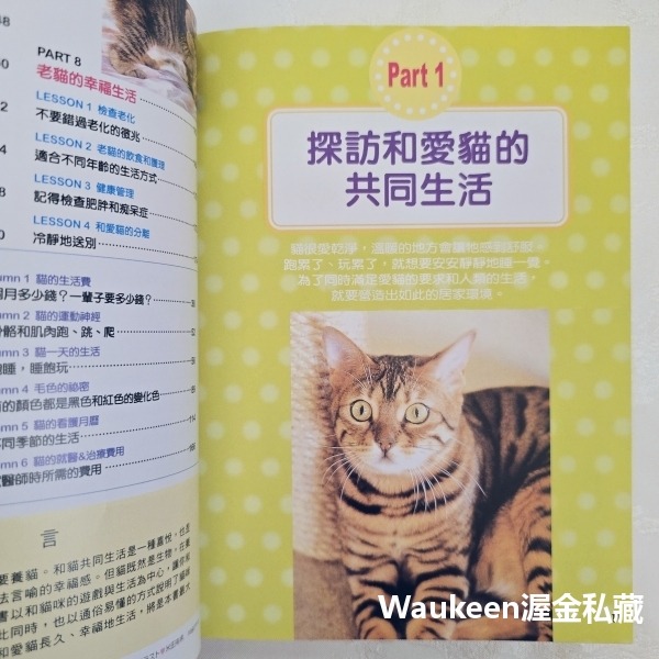 家有寶貝貓 愛貓的飼養調教指南 小島正記 漢欣出版社 美國短毛 波斯 緬因 曼赤肯 阿比西尼亞 埃及 園藝寵物-細節圖6