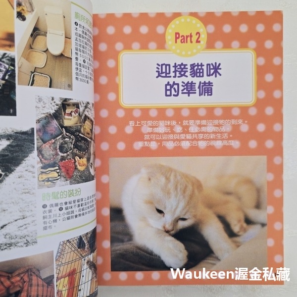 家有寶貝貓 愛貓的飼養調教指南 小島正記 漢欣出版社 美國短毛 波斯 緬因 曼赤肯 阿比西尼亞 埃及 園藝寵物-細節圖7